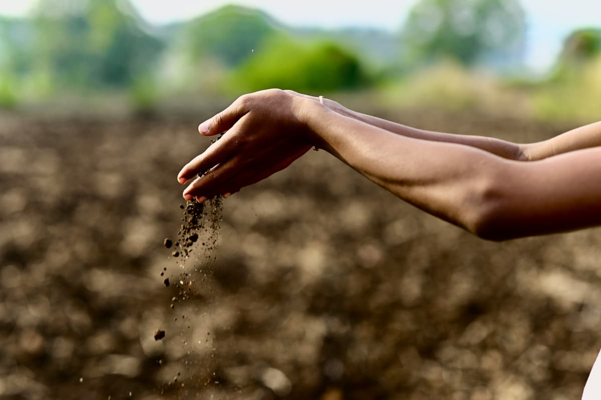 Soil