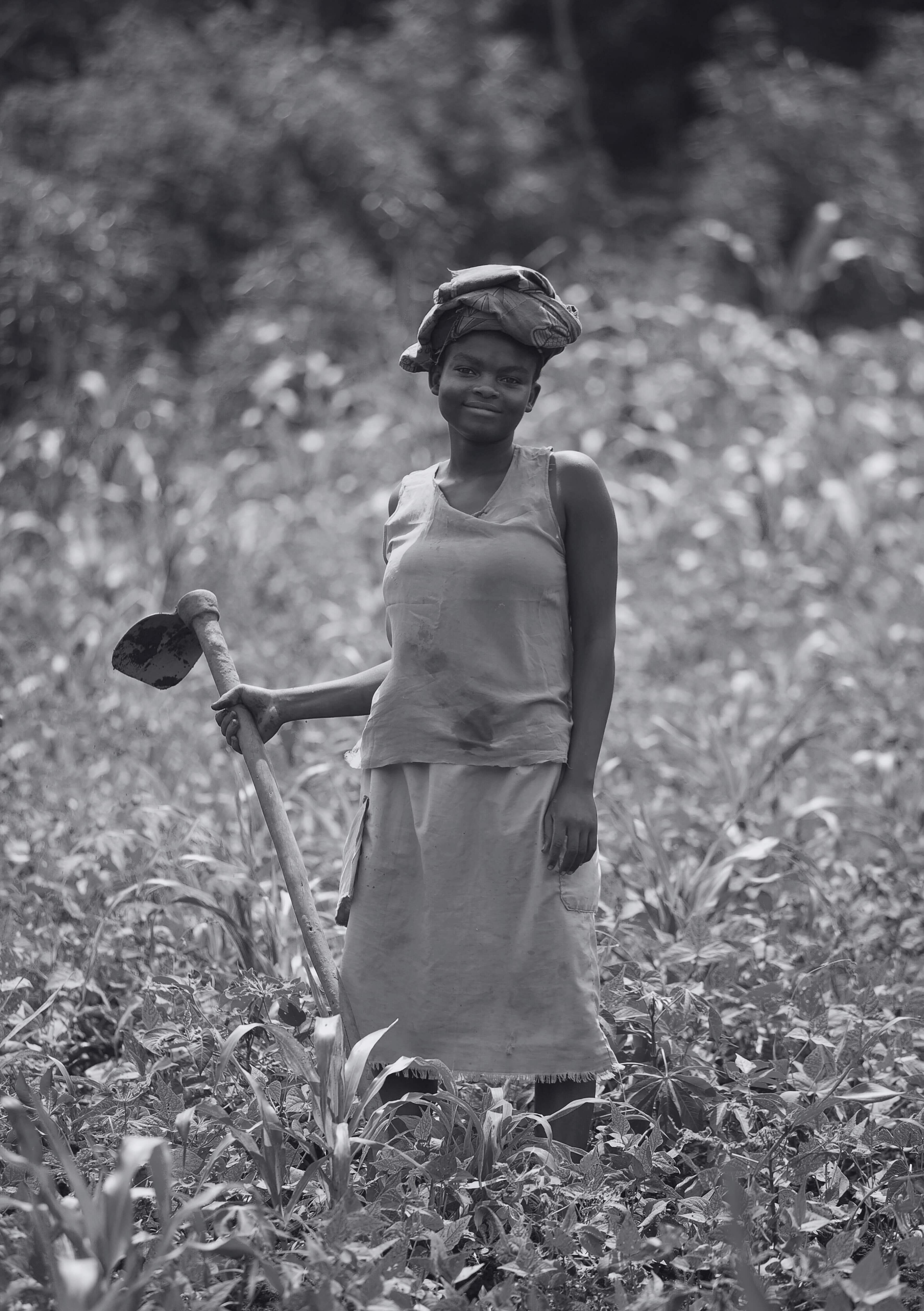 Forest background for Educate